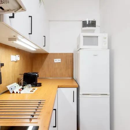 Spacious 아파트 프라하